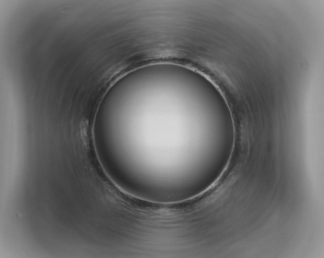 X0000112941265200908241313
