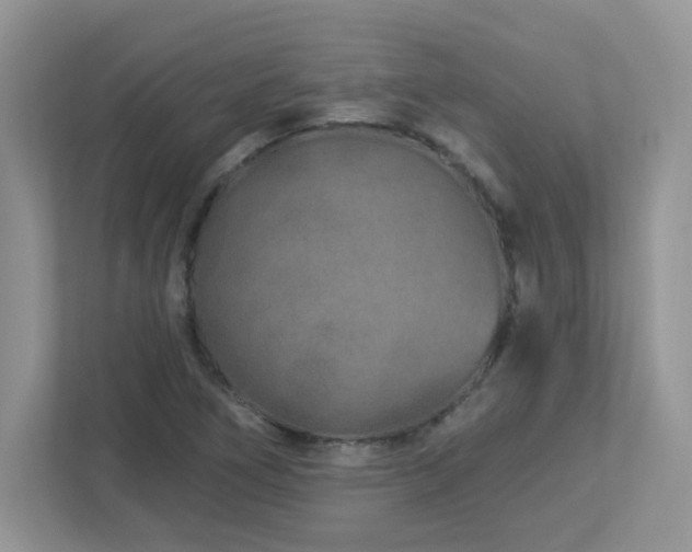 X0000112941266200908241313