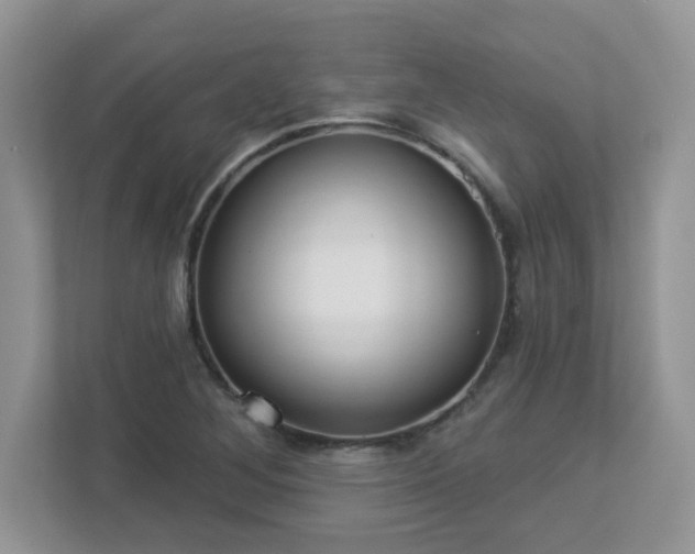 X0000112941268200908241313