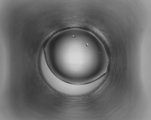 X0000112941269200908241313