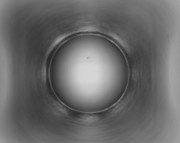 X0000112941270200908241313