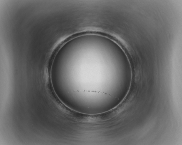 X0000112941271200908241313