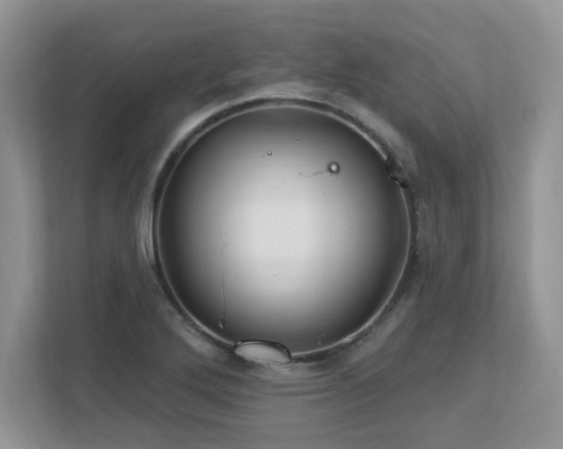 X0000112941272200908241313