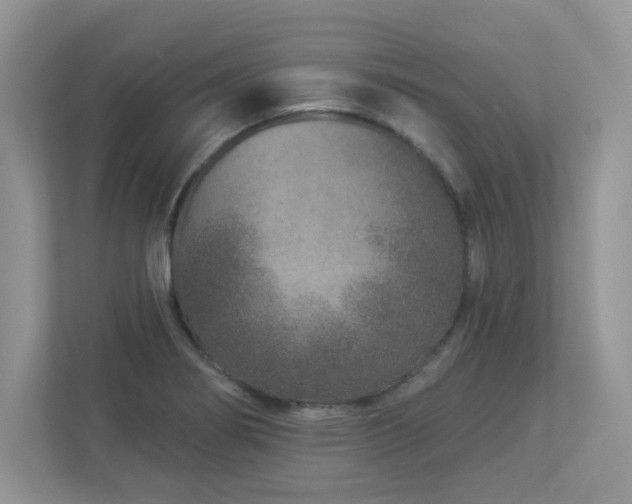 X0000112941274200908241313