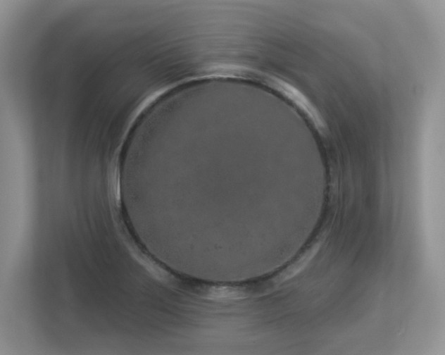 X0000112941275200908241313