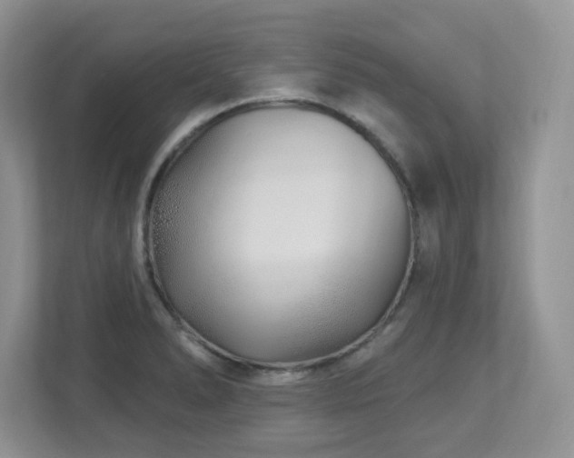 X0000112941278200908241313