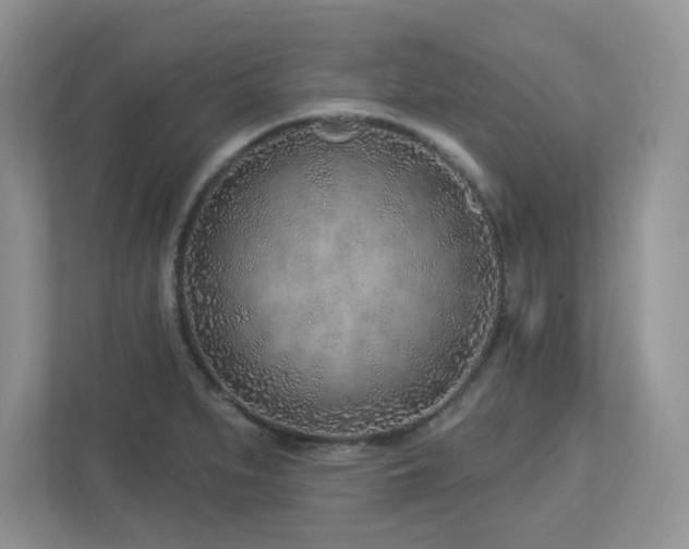 X0000112941279200908241313