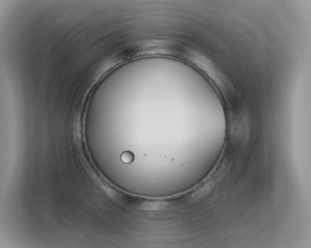 X0000112941282200908241313