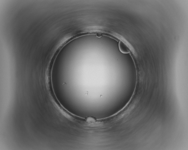 X0000112941285200908241313