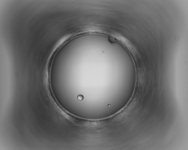 X0000112941286200908241313