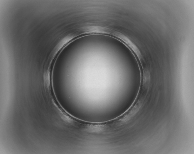 X0000112941293200908241313