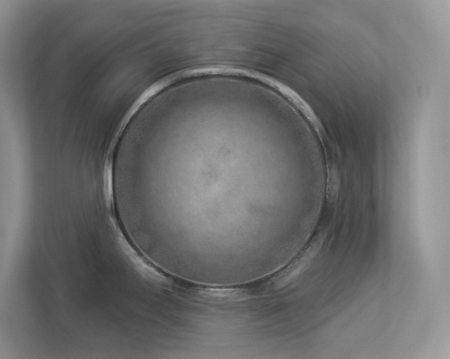 X0000112941295200908241313