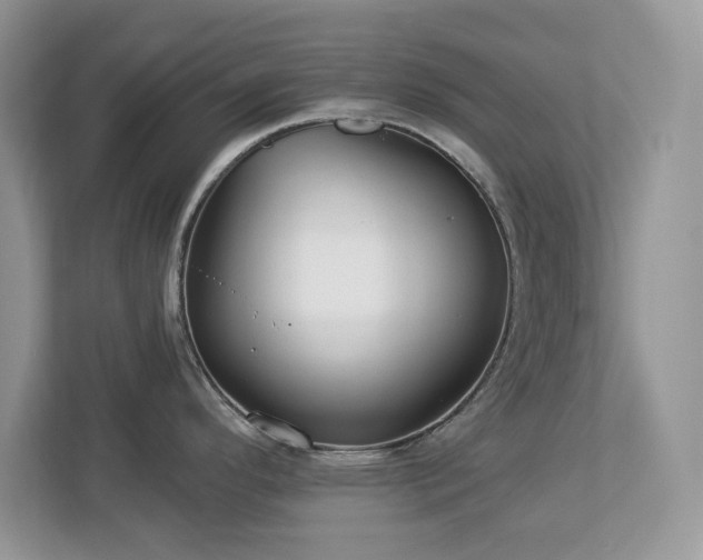 X0000112941296200908241313