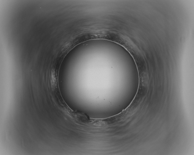 X0000112941298200908241312