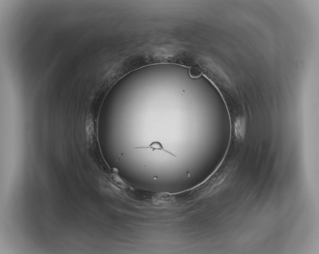 X0000112941299200908241312
