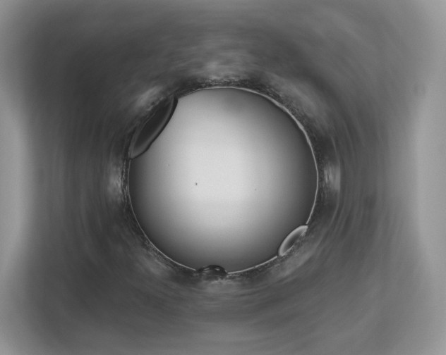 X0000112941300200908241312