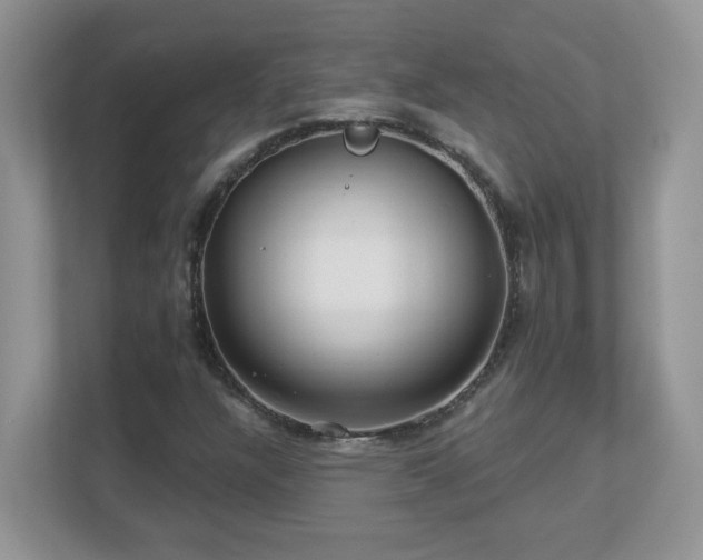 X0000112941304200908241312