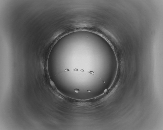 X0000112941305200908241312