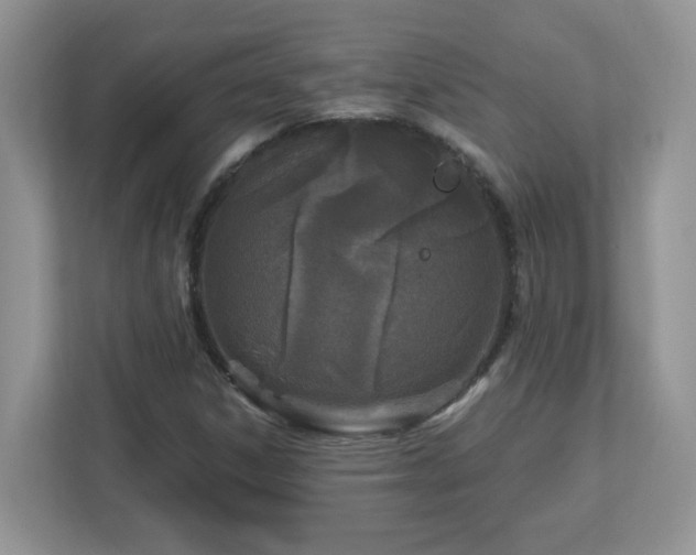 X0000112941306200908241312