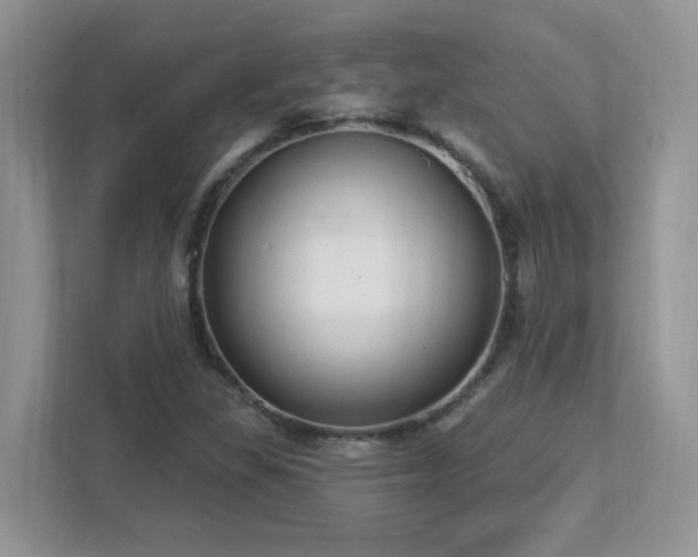 X0000112941309200908241312