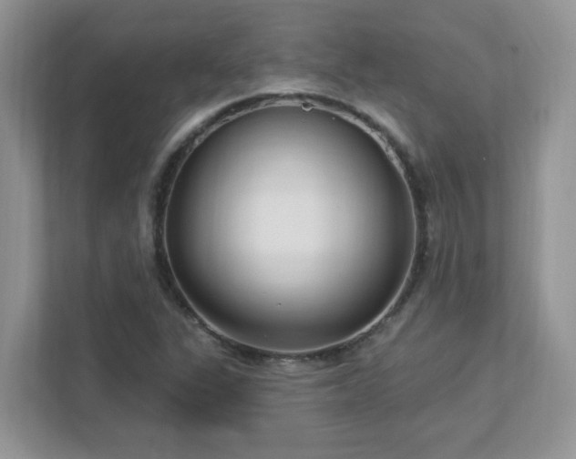 X0000112941311200908241312