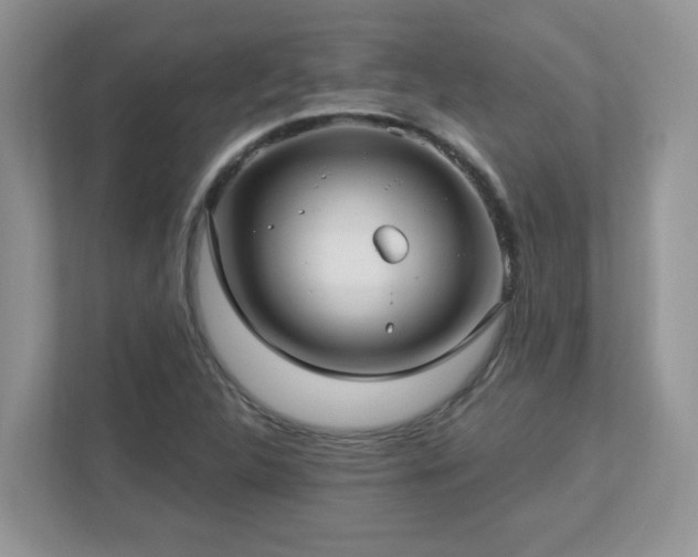 X0000112941312200908241312