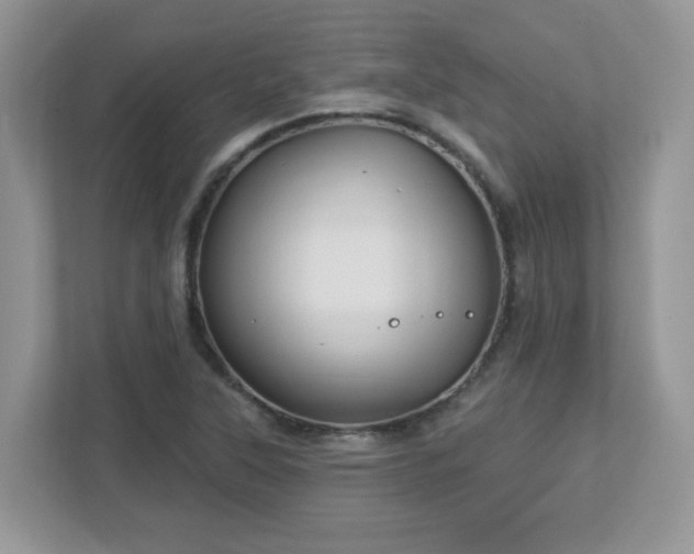 X0000112941315200908241312