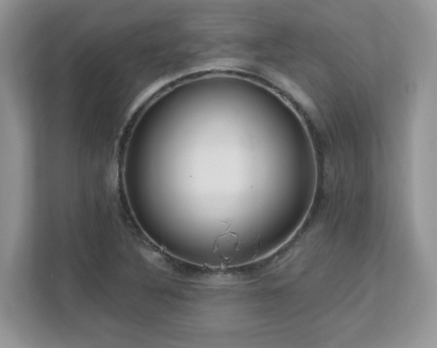 X0000112941316200908241312