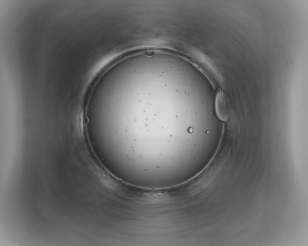 X0000112941320200908241312