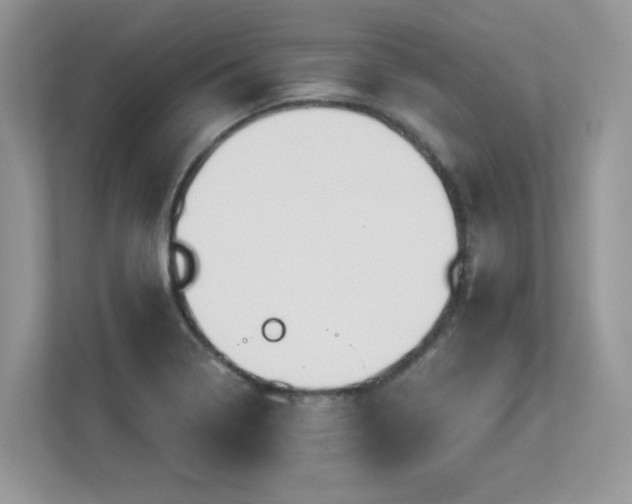 X0000112941322200908241312