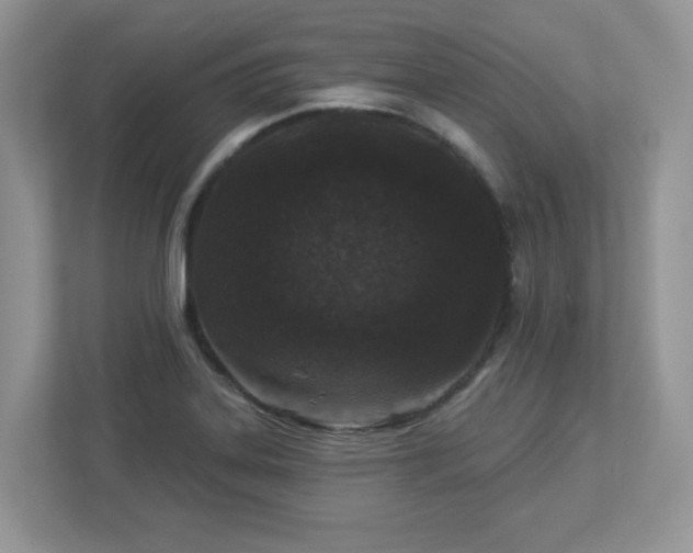 X0000112941323200908241312