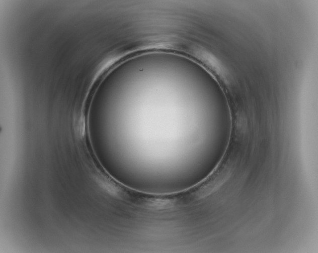 X0000112941324200908241312