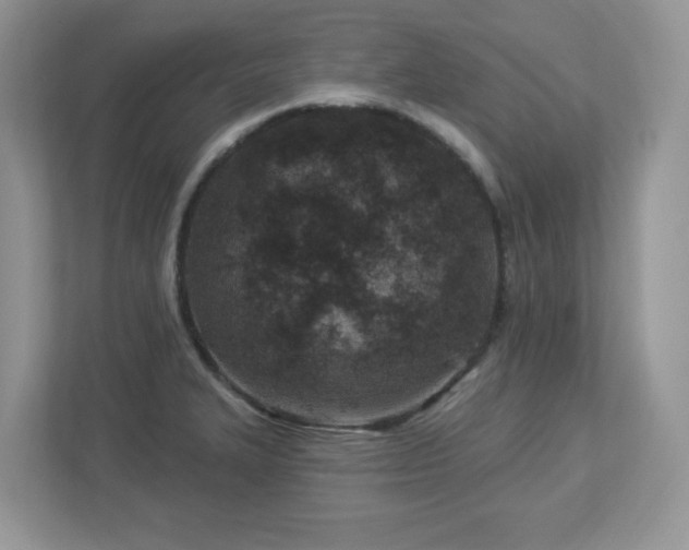 X0000112941327200908241312