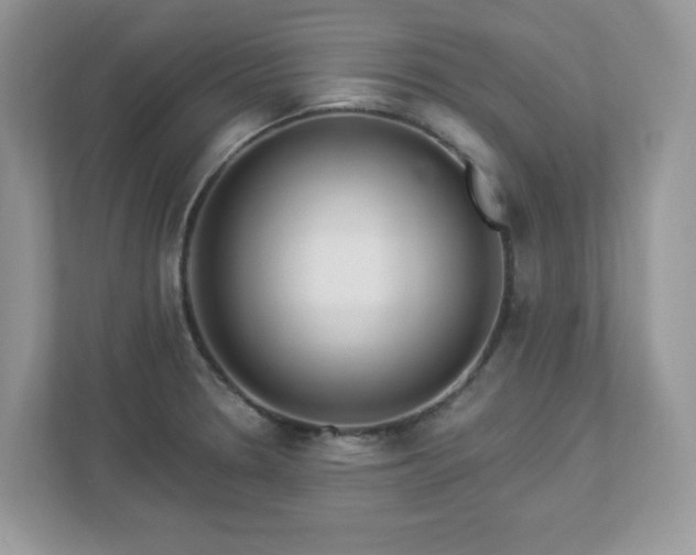 X0000112941330200908241312