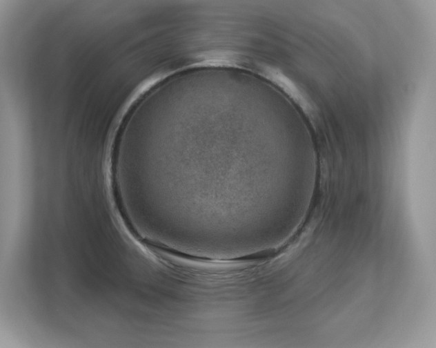 X0000112941331200908241312