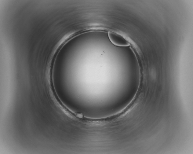 X0000112941333200908241313