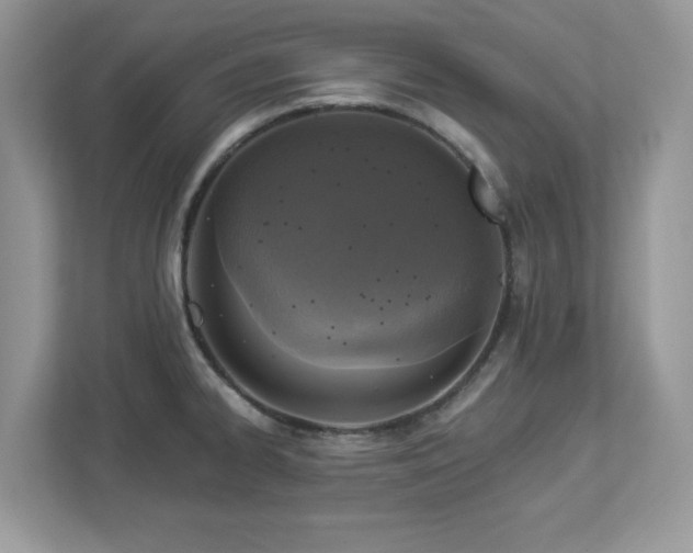 X0000112941334200908241313