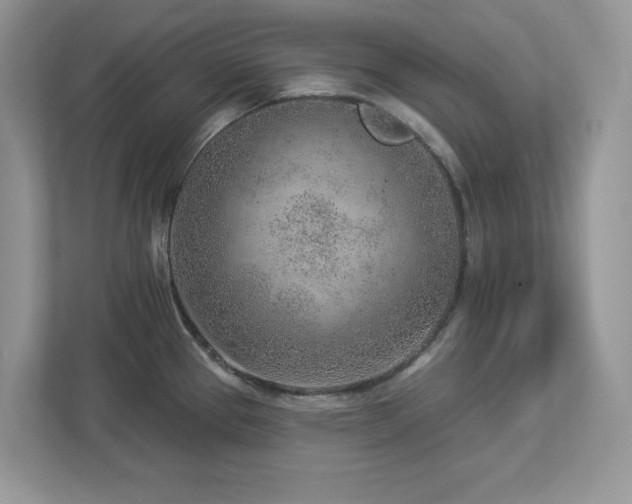 X0000112941337200908241313