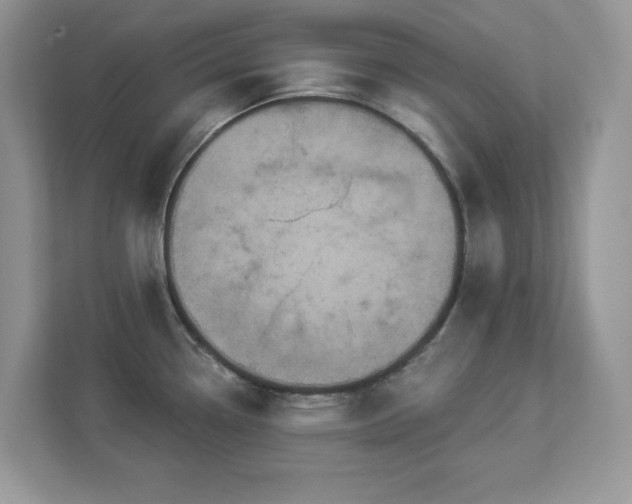 X0000112941338200908241313