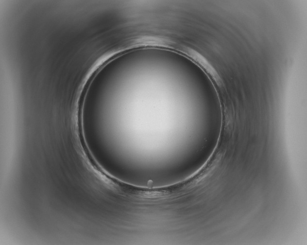 X0000112941339200908241313