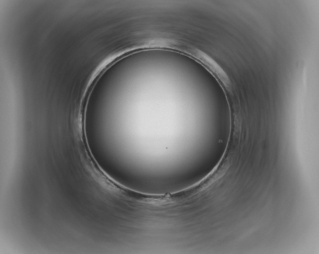 X0000112941340200908241313