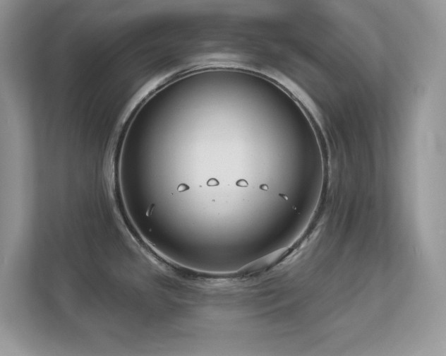 X0000112941341200908241313