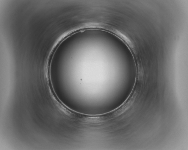 X0000112941342200908241313