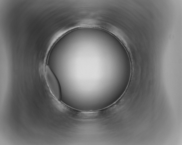 X0000112941344200908241313