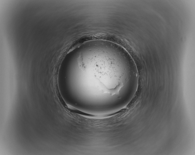 X0000112941345200908241312