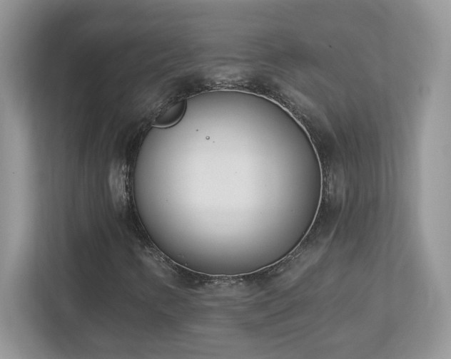 X0000112941346200908241312
