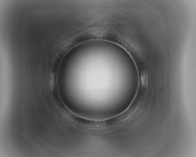 X0000112941347200908241312