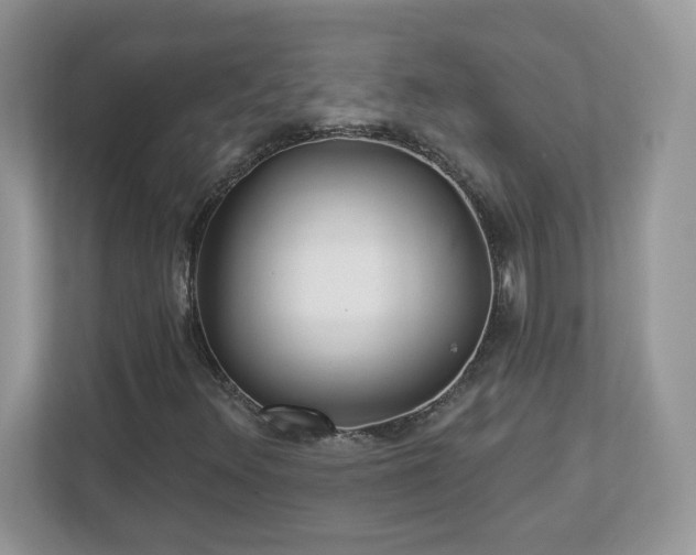 X0000112941348200908241312