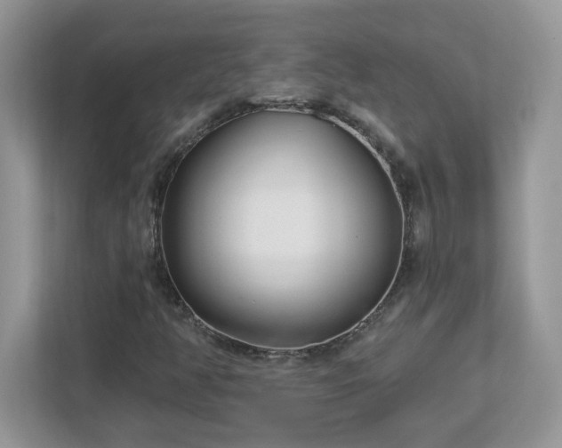 X0000112941350200908241312