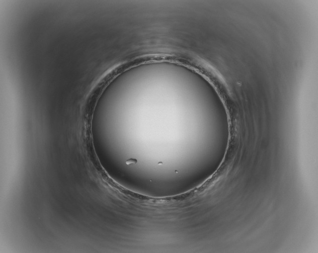 X0000112941352200908241312